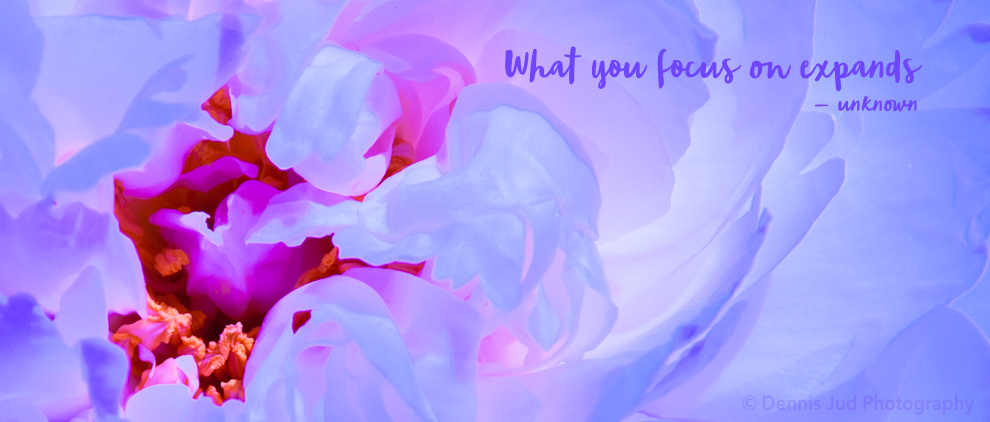 Purple Flower with Text_2